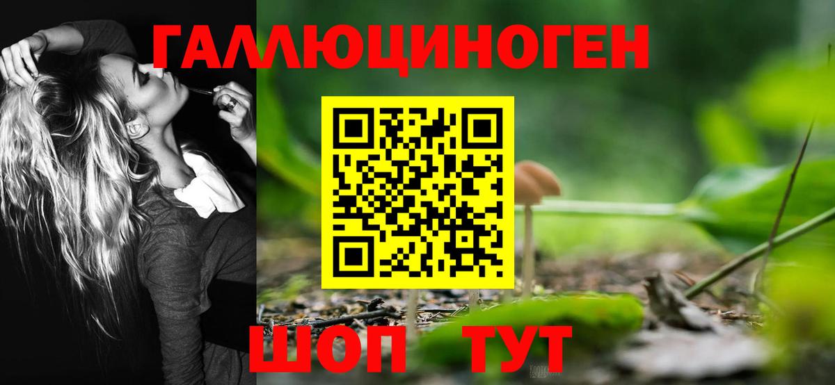Прокопьевск  Галлюциногенные грибы прущие грибы  Галлюциногенные грибы Magic Shrooms  Вход с VPN 